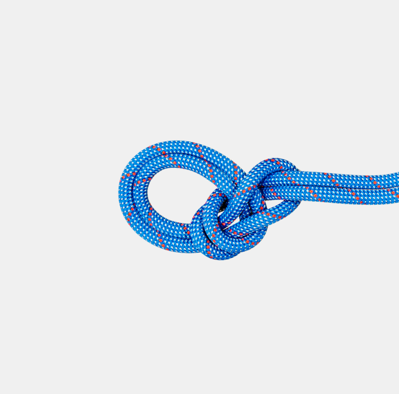 Mammut climbing rope